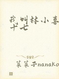 我叫林小喜今年十七