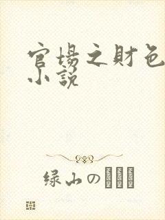 官场之财色诱人小说