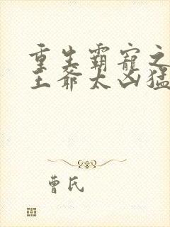 重生霸宠之摄政王爷太凶猛