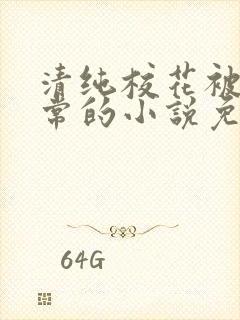 清纯校花被擒日常的小说免费阅读