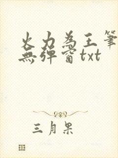 火力为王笔趣阁无弹窗txt