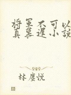 将军不可以魏云真慕迟小说笔趣阁