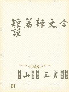 短篇辣文合集小说