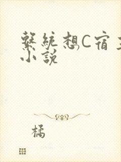 系统想C宿主的小说