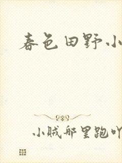 春色田野小说