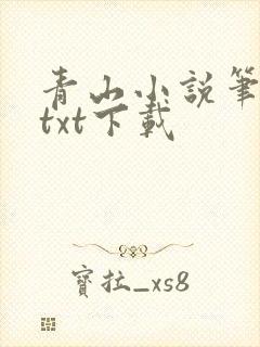 青山小说笔趣阁txt下载