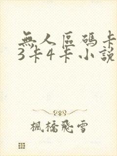 无人区码卡二卡3卡4卡小说