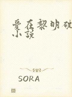 爱在黎明破晓前小说