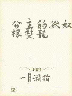 公主的欲奴h四根双龙