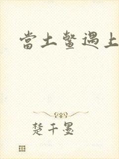 当土鳖遇上海龟