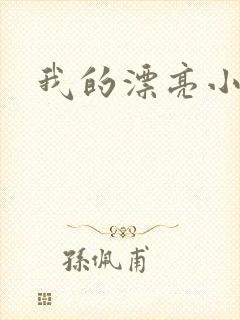 我的漂亮小后妈