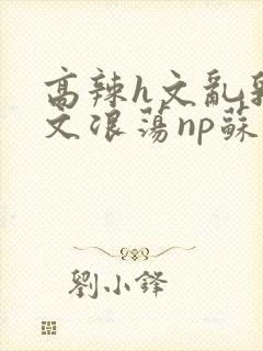 高辣h文乱乳h文浪荡np苏夏