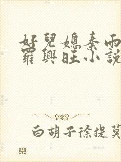 好儿媳秦雨罗明罗兴旺小说