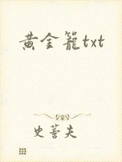 黄金笼txt