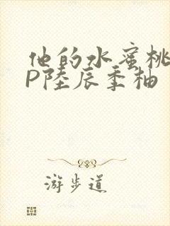 他的水蜜桃POP陆辰季柚