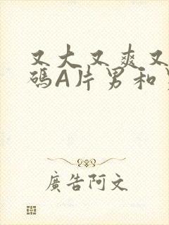 又大又爽又黄无码A片男和男