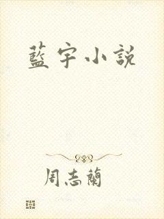 蓝宇小说