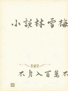 小说林雪梅