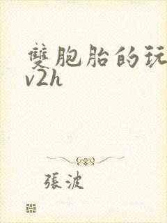 双胞胎的玩具1v2h