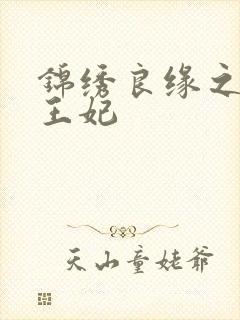 锦绣良缘之北地王妃