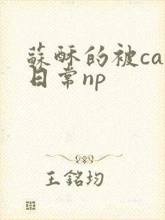 苏酥的被cao日常np