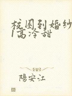 校园到婚纱1V1高冷甜