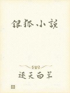 银狐小说