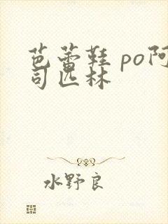 芭蕾鞋 po阿司匹林