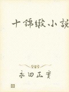 十锦缎小说