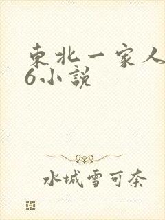 东北一家人1一6小说