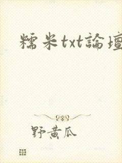 糯米txt论坛