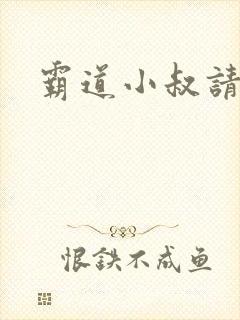 霸道小叔请轻撩