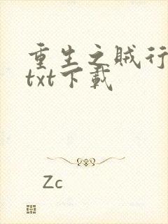 重生之贼行天下txt下载