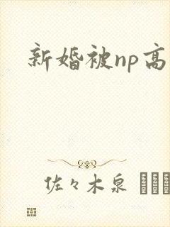 新婚被np高h