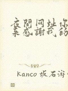 夜间网址你会回来感谢我的