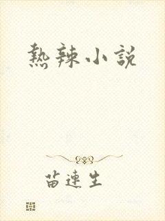 热辣小说