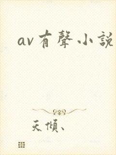 av有声小说