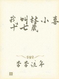 我叫林小喜今年十七岁