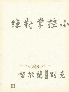 绝对掌控小说