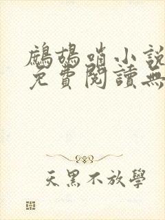 鹧鸪哨小说网站免费阅读无弹窗