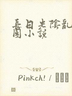 长日光阴乱作一团小说