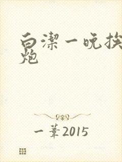 白洁一晚挨十二炮