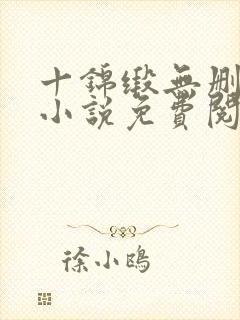 十锦缎无删原著小说免费阅读