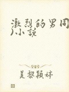 激烈的男同(h)小说