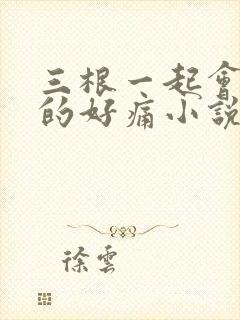 三根一起会坏掉的好痛小说