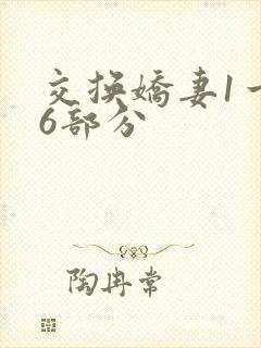 交换娇妻1一36部分