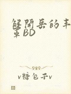 解开岳的丰满奶罩BD