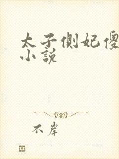 太子侧妃傻乎乎小说