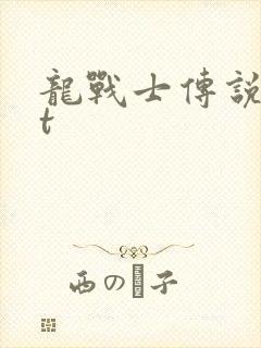 龙战士传说txt