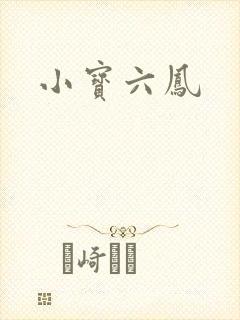 小宝六凤